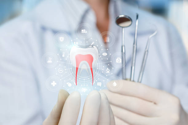 Trusted Clinton, OH Holistic Dental Care Services Experts
